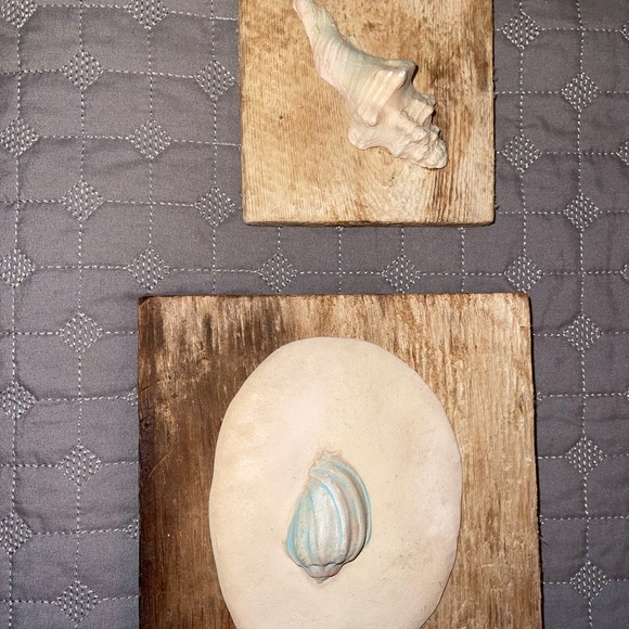 Set of 2 ocean shells rustic frames - Picture 3 of 7